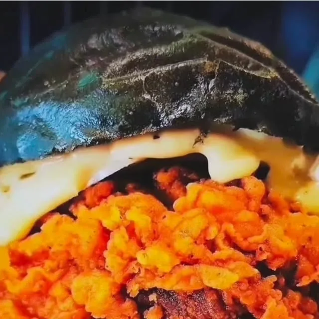 네쉬빌핫치킨버거